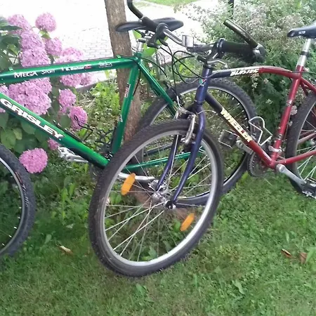 Feriehus Apartma Kolpa