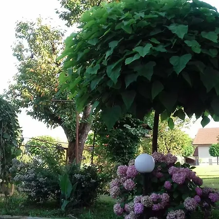 Feriehus Apartma Kolpa