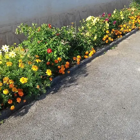 Apartma Kolpa Feriehus Gradac