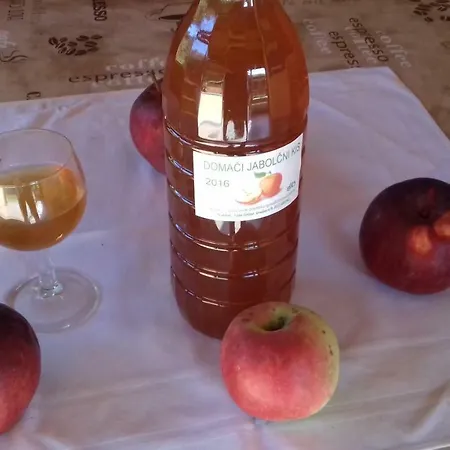 Feriehus Apartma Kolpa Gradac