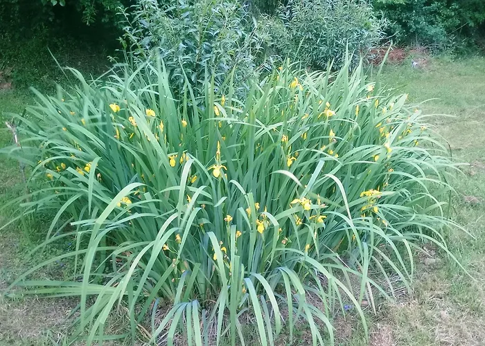 Vakantiehuis Apartma Kolpa *