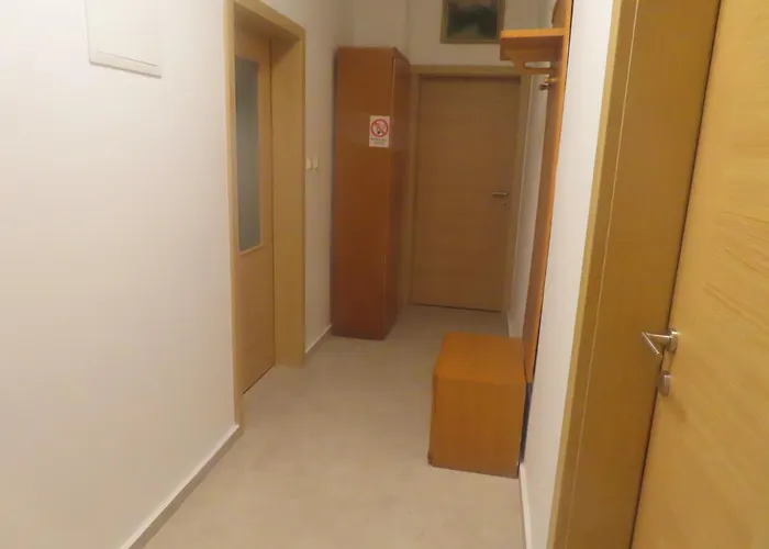 펜션 Apartma Kolpa