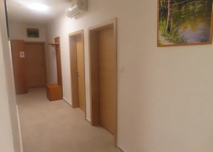 Apartma Kolpa 펜션 Gradac