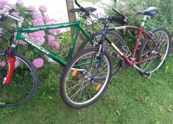 펜션 Apartma Kolpa