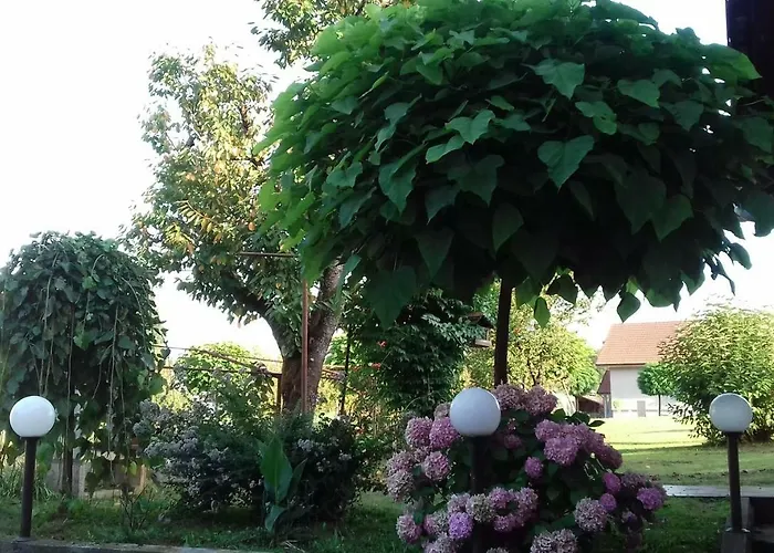 펜션 Apartma Kolpa