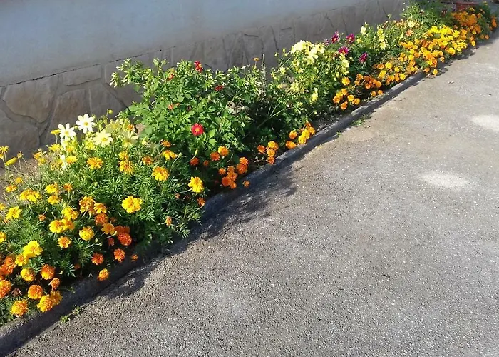 Apartma Kolpa Vakantiehuis Gradac