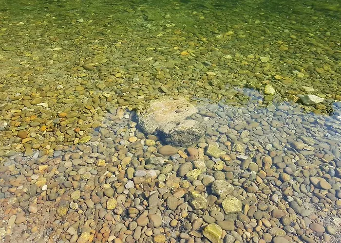 펜션 Apartma Kolpa