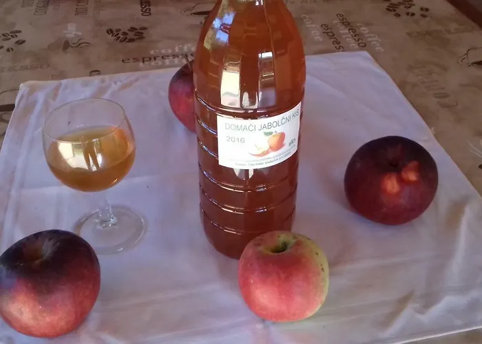 펜션 Apartma Kolpa Gradac